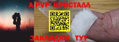 крисы Гагарин