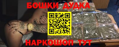 крисы Гагарин