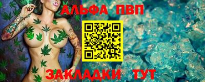крисы Гагарин