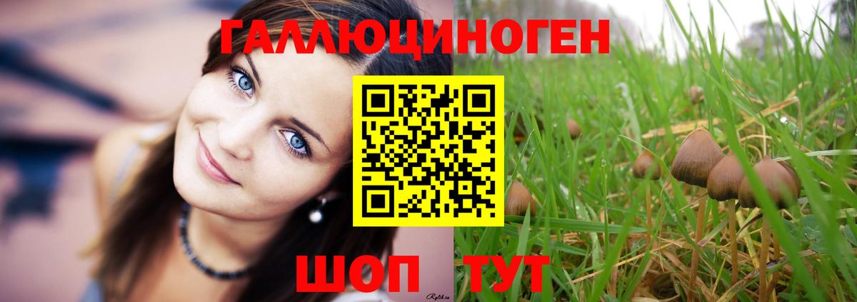 Галлюциногенные грибы Psilocybe Набережные Челны