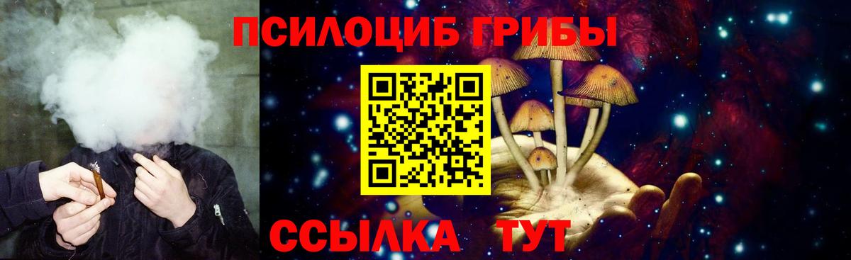 Галлюциногенные грибы Psilocybine cubensis  Вход с VPN  Набережные Челны 